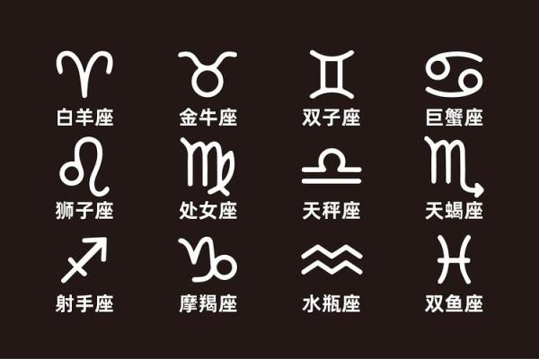 哪个星座最擅长追女孩？25个汉字限制，不使用特殊符号。