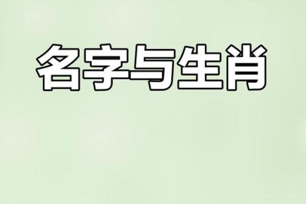 凌晨2点出生的属猴男孩应该如何起名字姓名