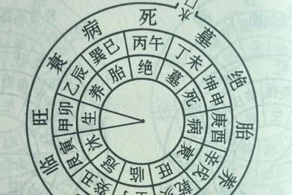 事关后代，墓地风水龙穴砂水向