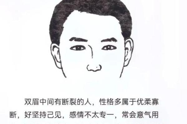 三角眉毛的面相算命图解