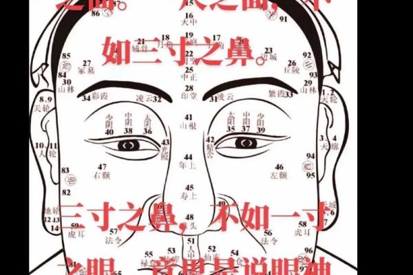 八字眉女人的特征及命运 八字眉女人的特征及命运