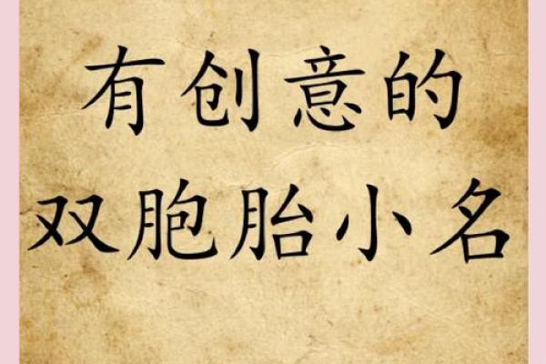 双胞胎取名字时你所不知的3方法和2个经典方法-姓名学-华易网姓名