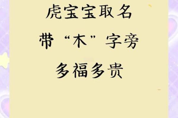 中午出生的属虎男孩如何起名，适合什么字姓名