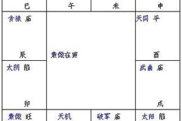 紫薇斗数速成
