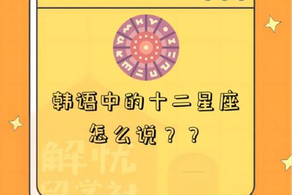 十二星座“摆地摊”解忧秘籍！