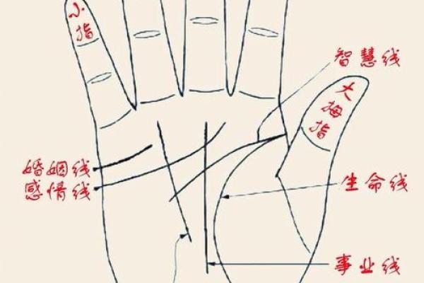 手掌印算命