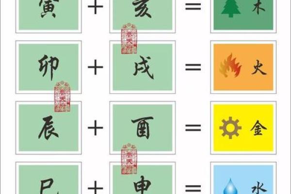 易经详解八字地支相合之六合局