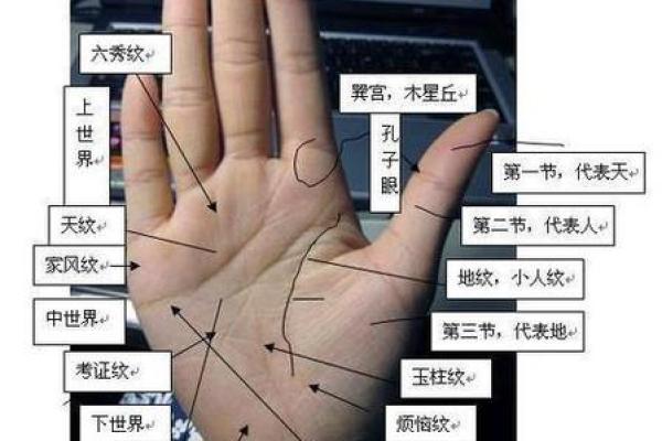 怎么看手相算命，怎么看手相算命图解