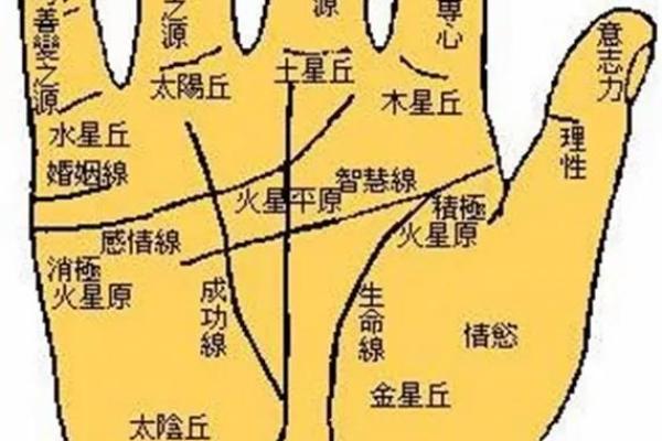 怎么看手相算命，怎么看手相算命图解