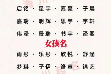 排八字取名