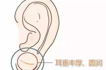 耳朵风水里代表什么