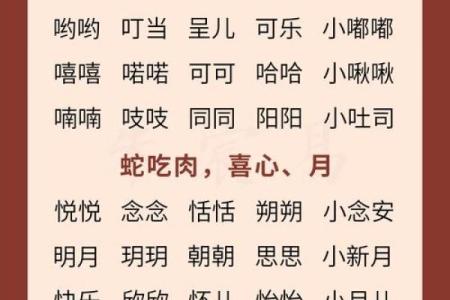 下午4点出生的属蛇男孩要如何起名，宜用什么字姓名