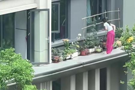 窗外花坛风水好吗