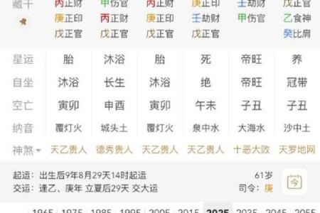 八字食伤的查法