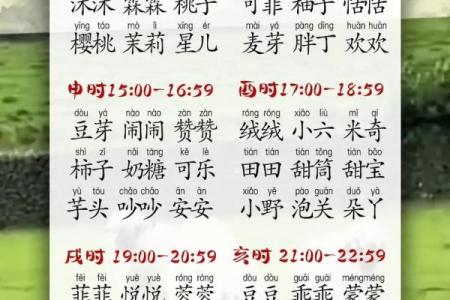 猪年宝宝取小名，好听的小名推荐姓名