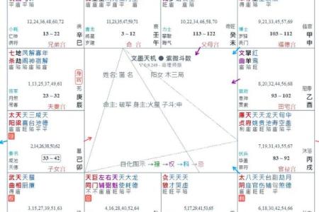 紫薇斗数的太阳是什么意思