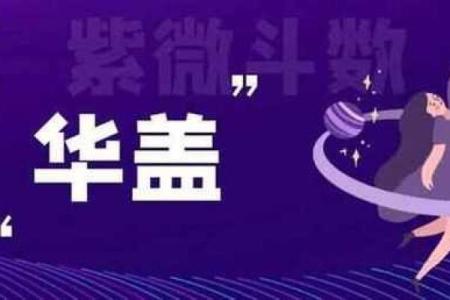 紫薇斗数资料乙级星