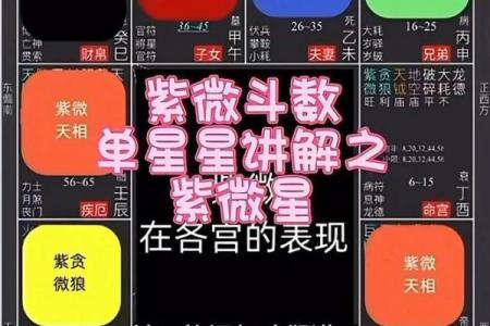 紫薇斗数各个星星