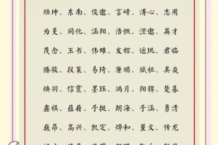 凌晨2点出生的属猴男孩应该如何起名字姓名