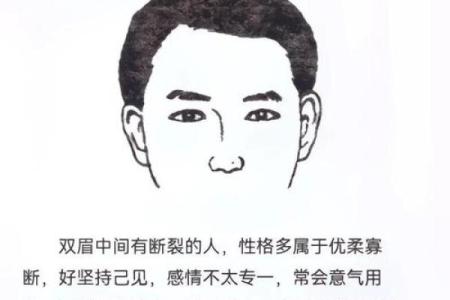 三角眉毛的面相算命图解