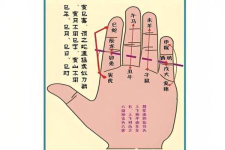 八字算命详解