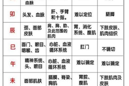 八字算命中十二地支相刑的详解