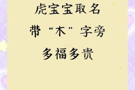 中午出生的属虎男孩如何起名，适合什么字姓名