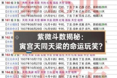 紫薇斗数命宫天梁