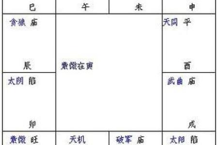 紫薇斗数速成