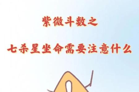 七杀在夫妻宫紫微斗数 七杀 在夫妻宫？