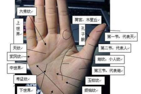 怎么看手相算命，怎么看手相算命图解