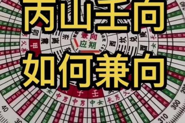 丙山壬向兼午子风水