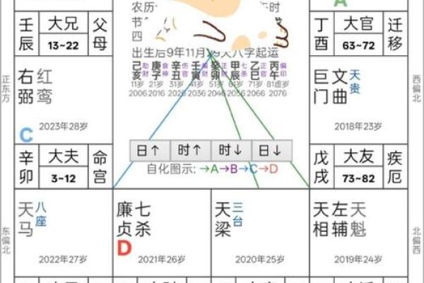 斗数紫薇阁