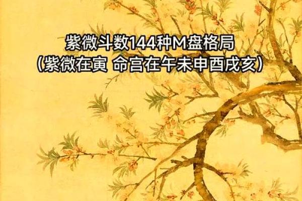 斗数紫薇阁