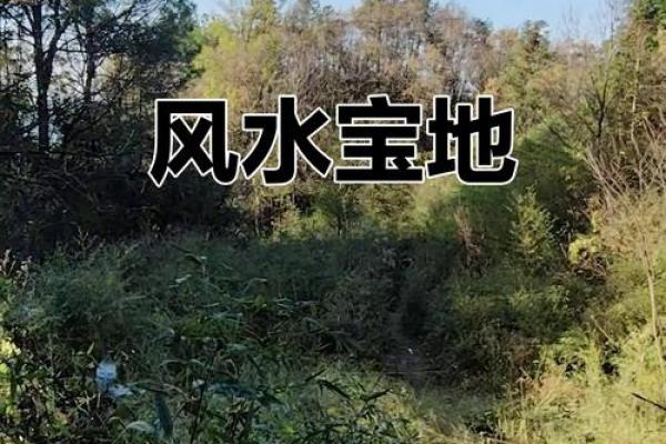风水征兆，恭喜你入住风水宝地