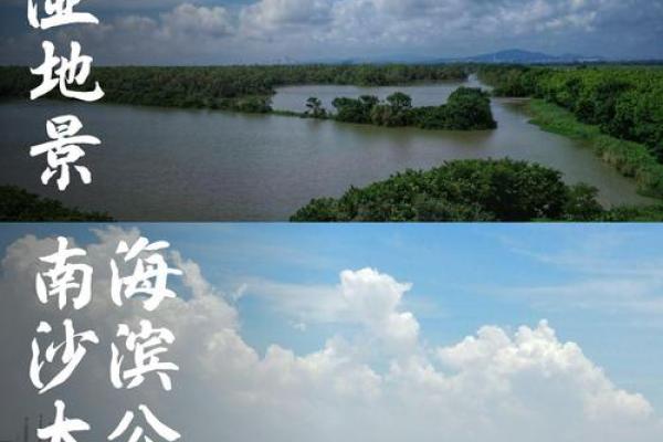 广东省广州南沙风水