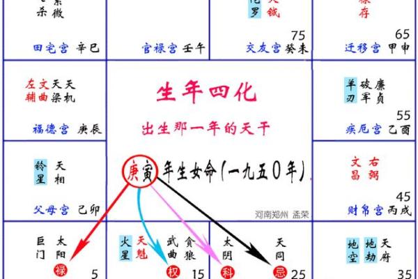 紫微斗数推广价值 紫微斗数专业术语？