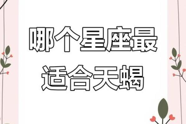 天蝎座工作上和哪个星座最合
