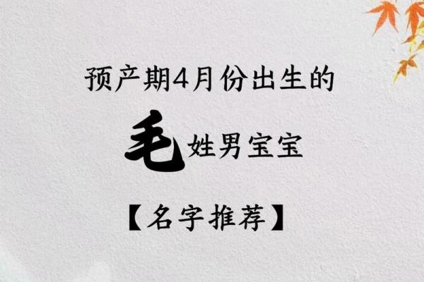 毛姓女孩名字大全-毛姓女孩起名字大全-毛姓名字大全姓名