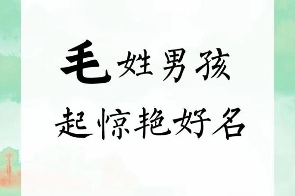 毛姓女孩名字大全-毛姓女孩起名字大全-毛姓名字大全姓名