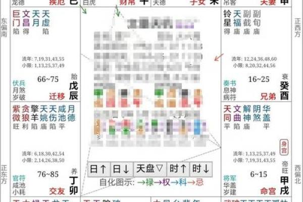 免费紫薇斗数排盘