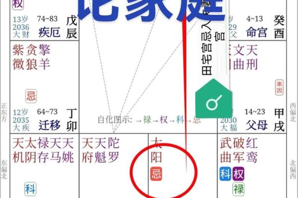 紫薇斗数二胎看那个宫位