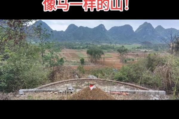 房子南侧有高山风水好吗