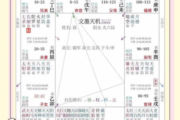紫微星入命宫与其他星曜之关系分析#紫微斗数教学