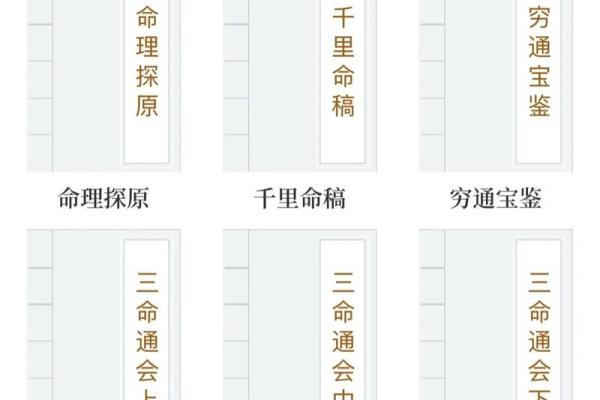 八字提要己