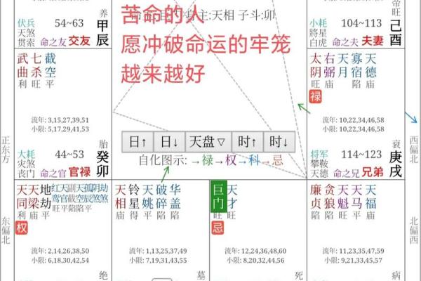 紫薇星化忌怎么看