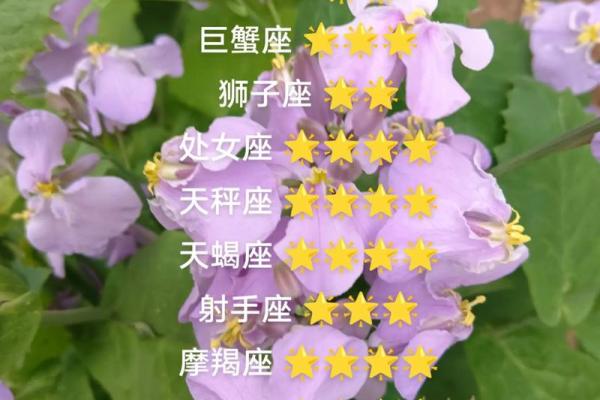 星座女神日运1223｜白羊家庭美满，金牛如鱼得水