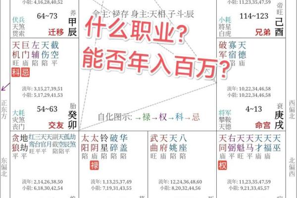 什么是紫微斗数中的天姚 紫微斗数 天姚？