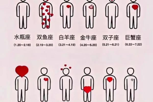 12星座水瓶座会怎么样呢