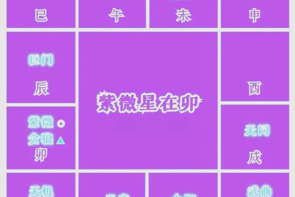 紫薇斗数主星性质：廉贞，天府，贪狼，巨门